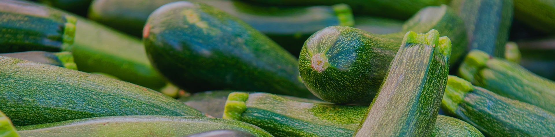 La courgette